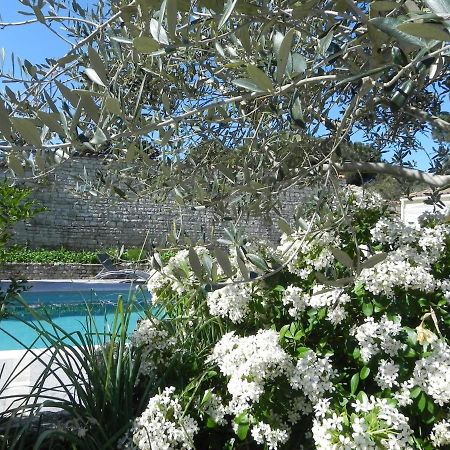 Villa Del Re 3 Face A La Piscine La Flotte Ngoại thất bức ảnh