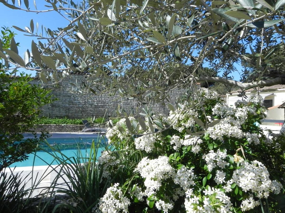 Villa Del Re 3 Face A La Piscine La Flotte Ngoại thất bức ảnh